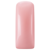 231406 - Blush Gel Spoiled 15 ml.