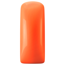 231490 - Blushes Neon Orange