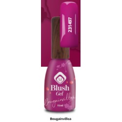 231497 - Blushes Bougainvillea