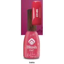 231495 - Blushes Dahlia