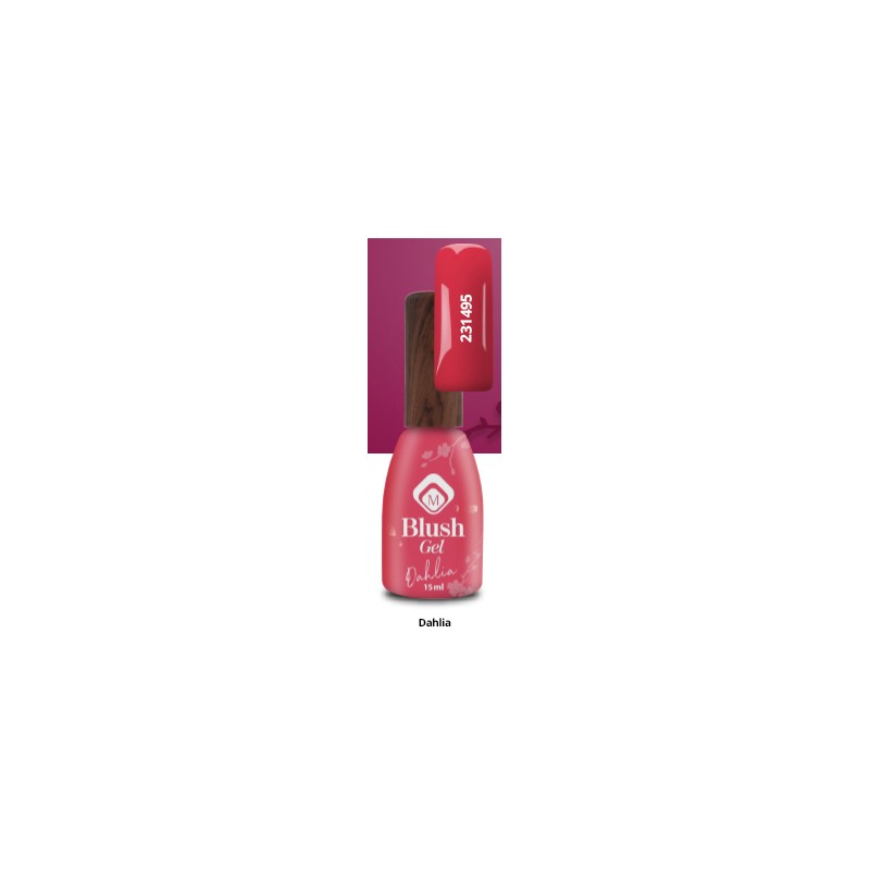 231495 - Blushes Dahlia 231495 - Blushes Dahlia
