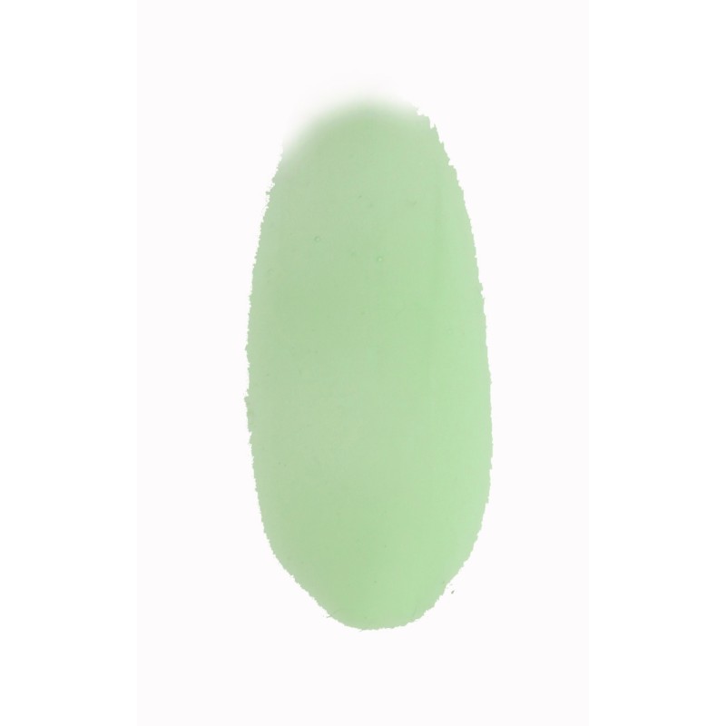 P603017 - Builder in Bottle Gel 10ml Mint P603017 - Builder in Bottle Gel 10ml Mint