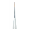 176095 - Magnetic Brush Syl's Choice