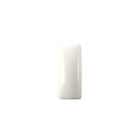 108237 - Pro Formula 15 gr. Pearl White