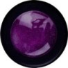 118010 - Glitter Stardust 14gr Fuchsia