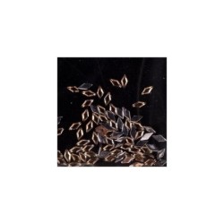 117839 - Diamond Topaz 100 pcs