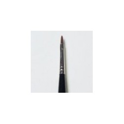 176014 - Student Gelbrush...